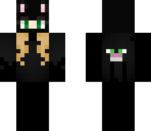 ninja kitty