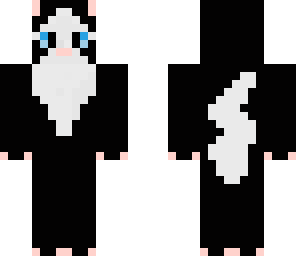 black and white kitten