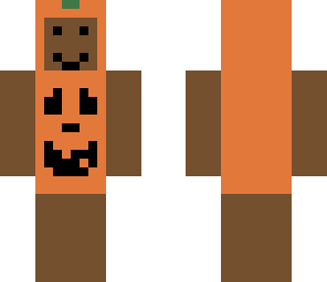 bear bear