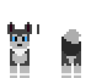 cute husky