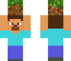 csn grass steve