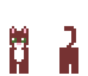 brown cat