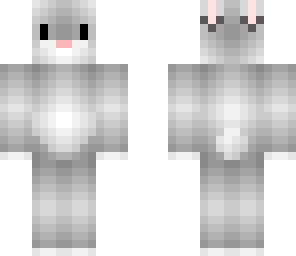 cute bunny