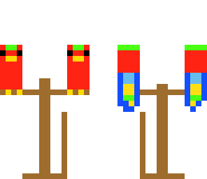2 parrot's