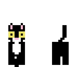 the cat