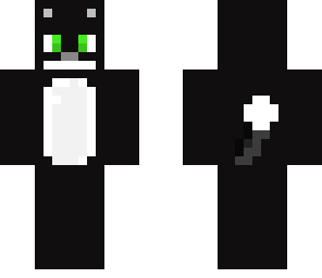 cat skin