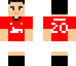robin van persie 