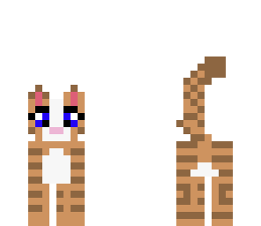 kitty