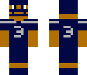 seattle seahawks
