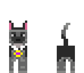 sky as a dog