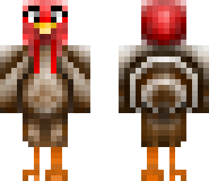 nat's xmas turkey skin