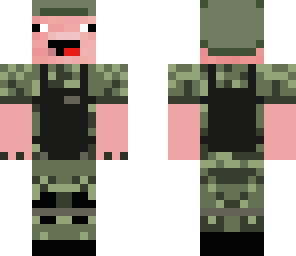 veteran pig