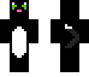 black and white kitty