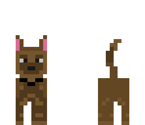 dog