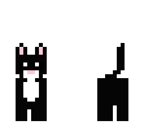 classic cat