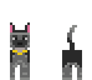 perro