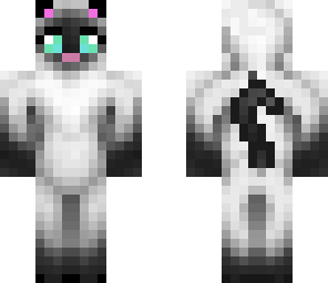 siamise cat