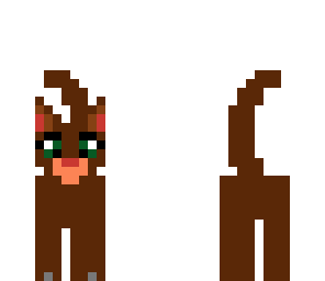 brown cat