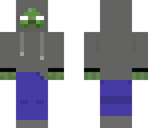hudsons skin