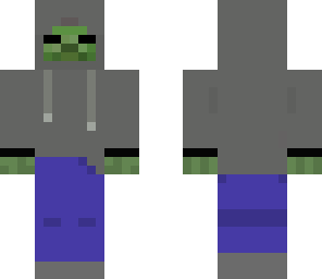 hudsons skin