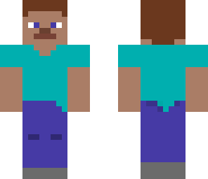 steve's head