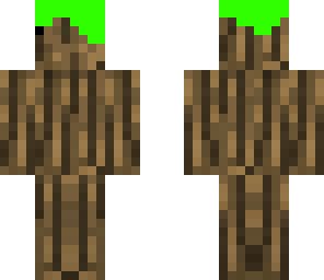 wood and leaves
