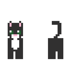 grey kitty cat