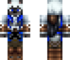 assassin cat