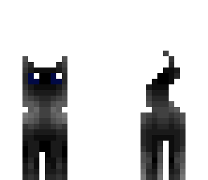 cat v2