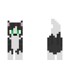fuzzy kitty cat
