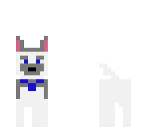 huskey doggie