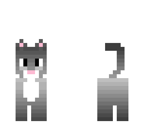 kitty