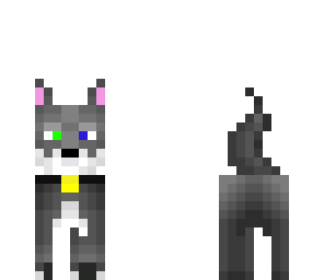wolf with diffent color eyes
