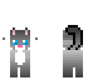 nimmy the cat improved a little