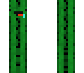 kaktus