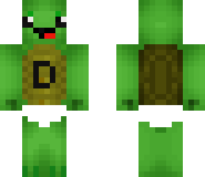 drew the turtle