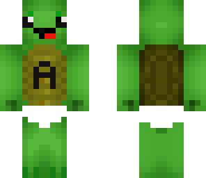 ayden the turtle