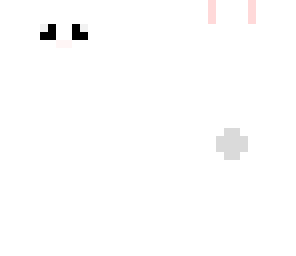 cute bunny