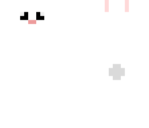 cute bunny