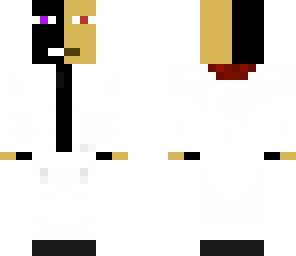 half enderman and half scientist