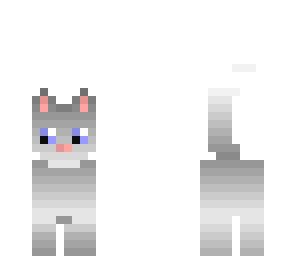 cute cat