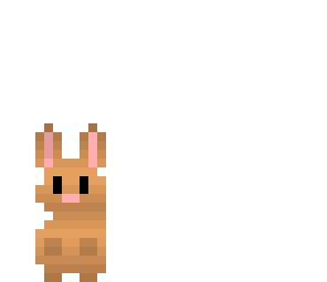 cute bunny