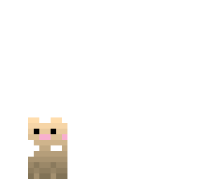 cute kitten