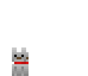 cute dog