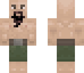 survivor