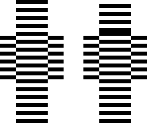 zebra man