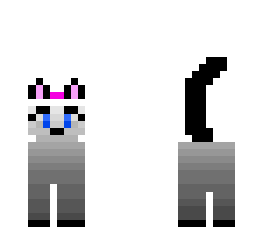 kitty cat