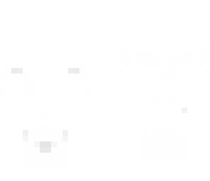template for a skin