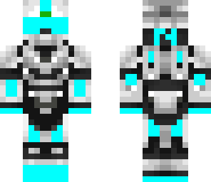 skin12