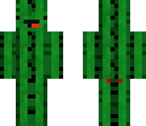sweg baby cactus